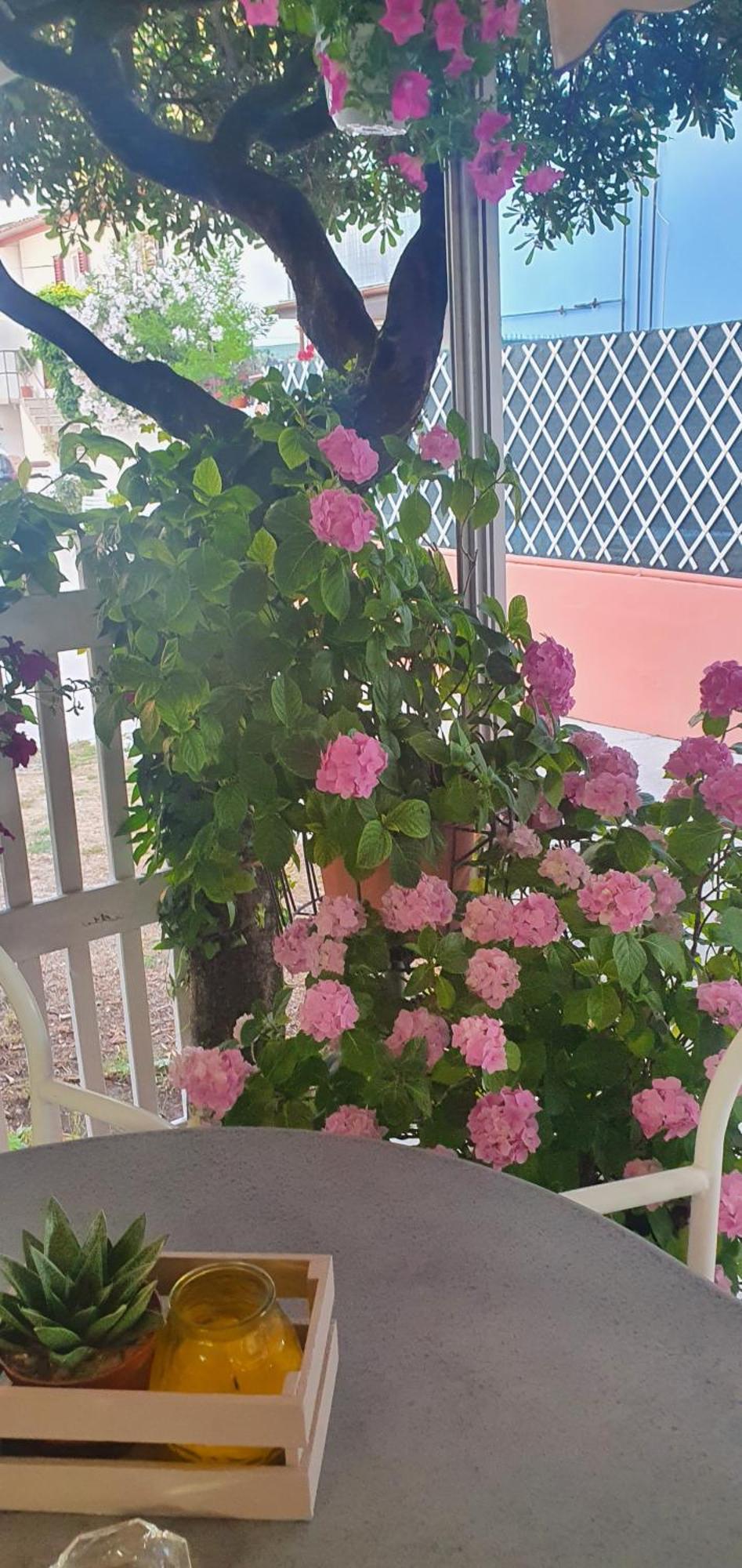 Hotel Eleonora ริมินี ภายนอก รูปภาพ